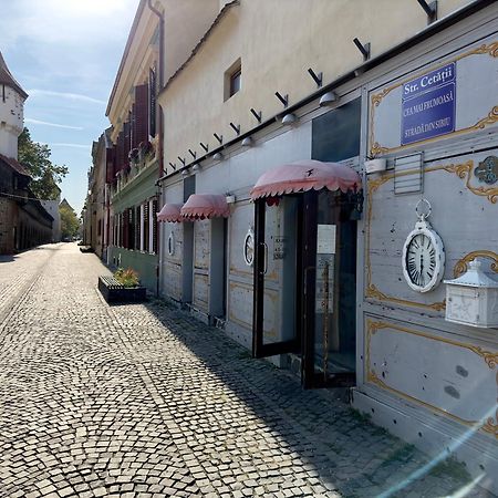 Schiller Apartment - Old Town Sibiu Ngoại thất bức ảnh