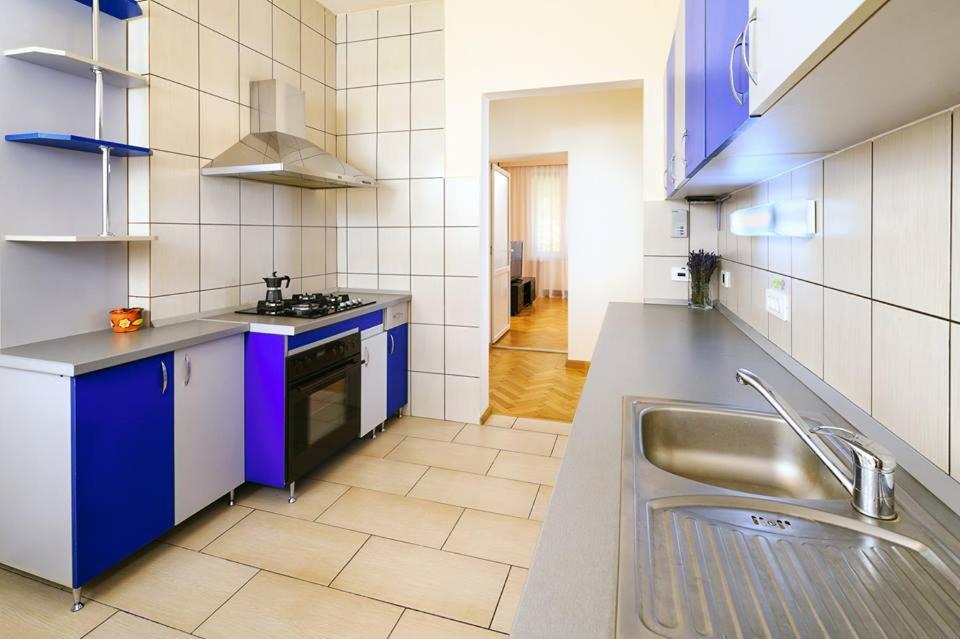 Schiller Apartment - Old Town Sibiu Ngoại thất bức ảnh